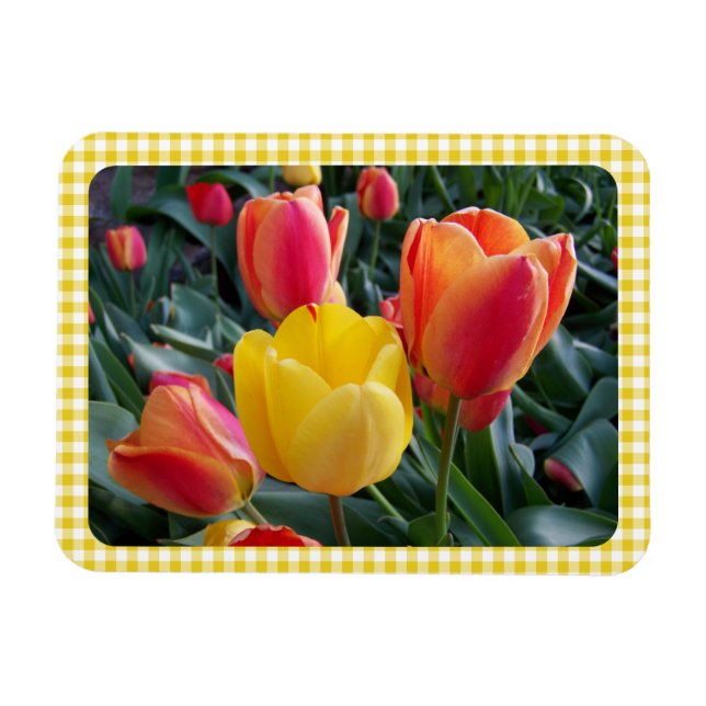 Yellow Gingham Plaid Tulips Garden Photo Magnet (Horisontell)