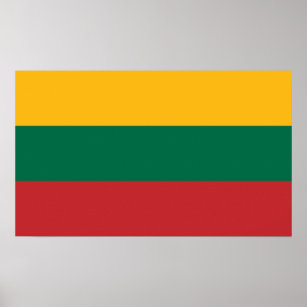 Yellow Green and Red Flag of Lithuania Poster