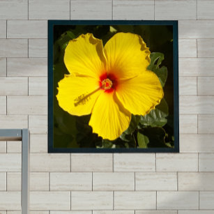Yellow Hibiscus Flower Small Poster