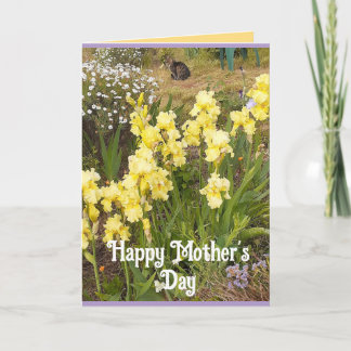 Yellow Iris and Tabby Cat Flowers Mothers Day Card Kort