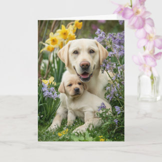 Yellow Lab Mom Mother’s Day Love Kort
