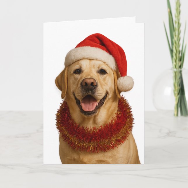 Yellow Labrador Retriever Christmas card Kort (Framsida)