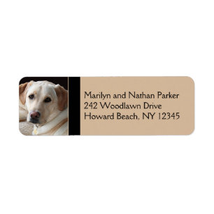 Yellow Labrador Retriever Return Address Label Returadress Etikett