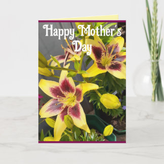 Yellow Lily Lilies Flower floral Mothers Day Card Kort