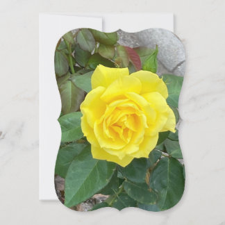 Yellow Rose Card