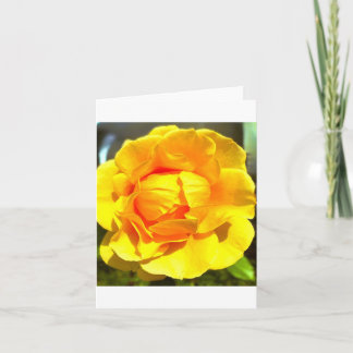 Yellow Rose Greeting Card Inbjudan