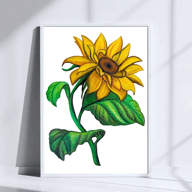 Yellow Sunflower Drawing Colored Pencil Art Poster (Skapare uppladdad)