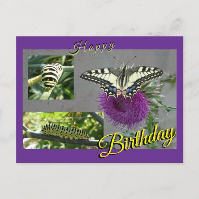 Yellow Swallowtail Collage Birthday Postcard Helg Vykort (Framsida)