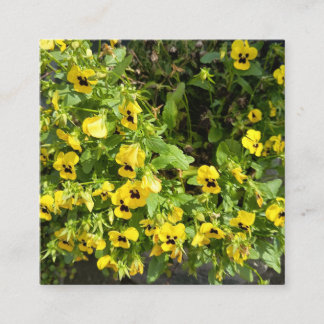 Yellow Wildflower Garden Nature Photography Square Fyrkantigt Visitkort