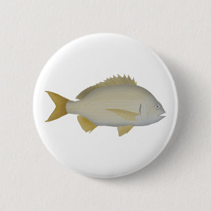 Yellowfin Bream Knapp