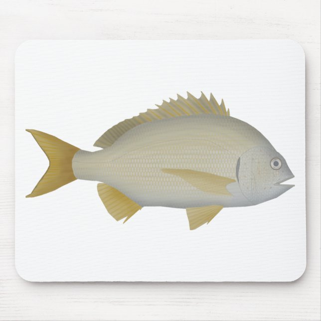 Yellowfin Bream Musmatta (Framsidan)