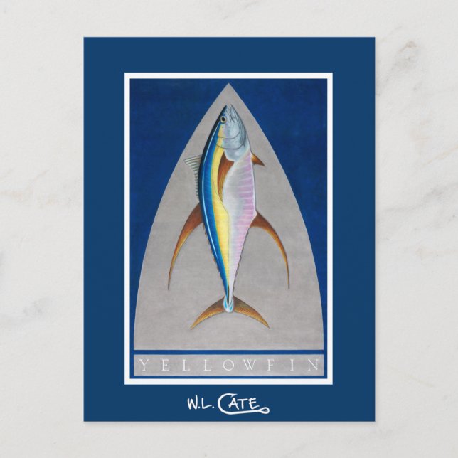 Yellowfin Postkort Vykort (Framsida)