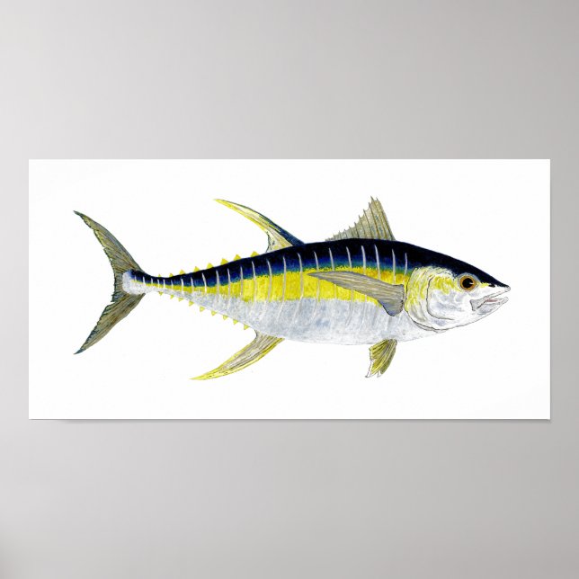 Yellowfin Tuna Artwork Poster (Framsidan)