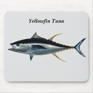 Yellowfin Tuna Musmatta