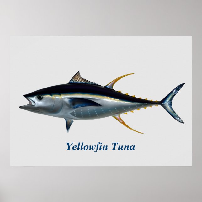 Yellowfin Tuna Poster (Framsidan)