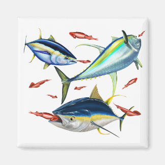 Yellowfin Tunas-jakt Squid Magnet