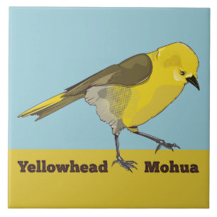 Yellowhad Mohua Kakelplatta