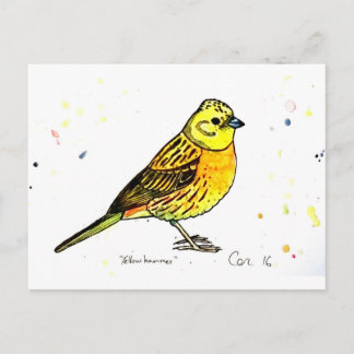 Yellowhammer Vykort