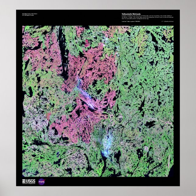 Yellowkniv Wetlands Poster (Framsidan)