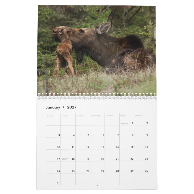 Yellowstone 2010 kalender (Jan 2027)