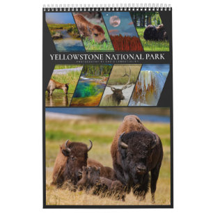Yellowstone A Mycket Speciella Ställe Kalender