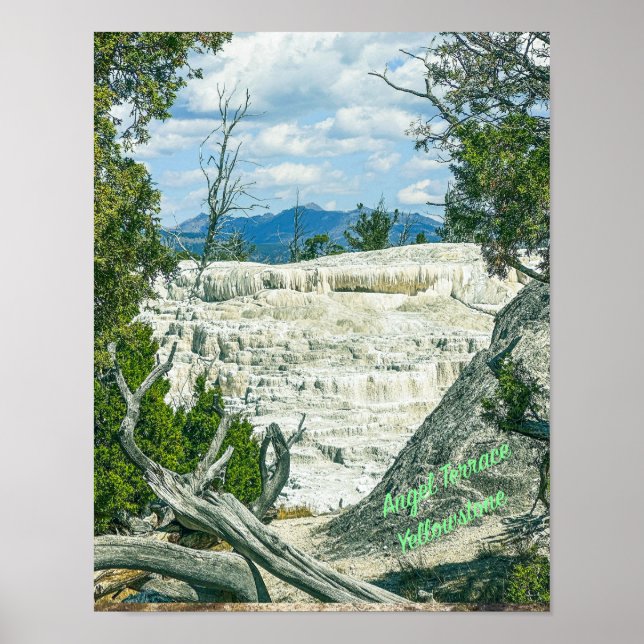 Yellowstone Angel Terrace i nationalparken Poster (Framsidan)