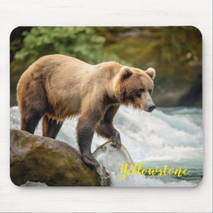 Yellowstone Bear Mouse Pad Musmatta