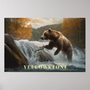 Yellowstone Bear Poster konst