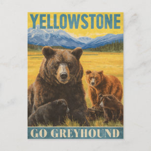 Yellowstone Bears Vintage resor Vykort