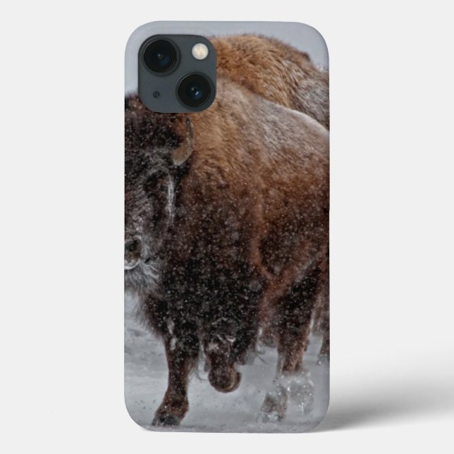 Yellowstone Bison (Baksida)