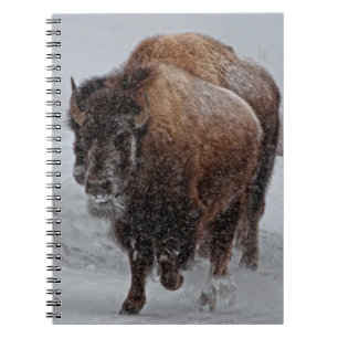 Yellowstone Bison Anteckningsbok