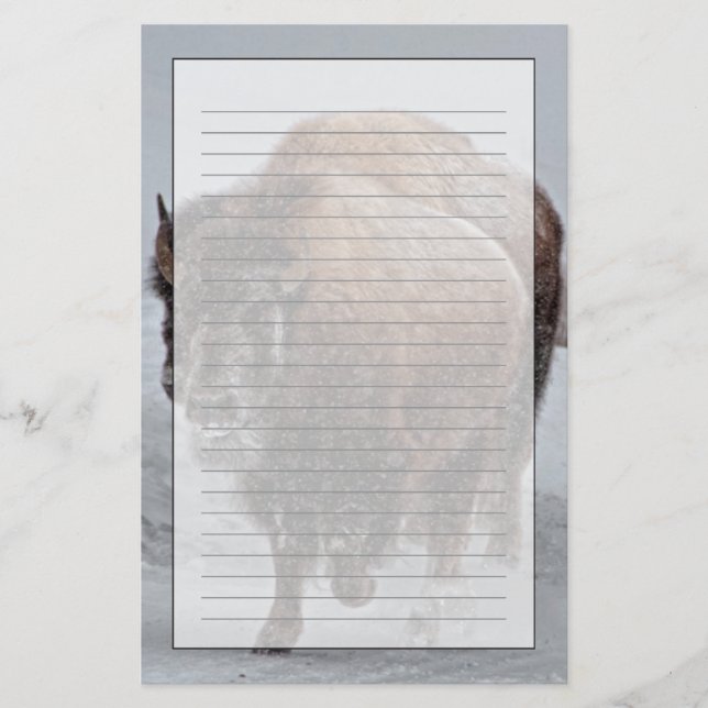 Yellowstone Bison Brevpapper (Framsida)