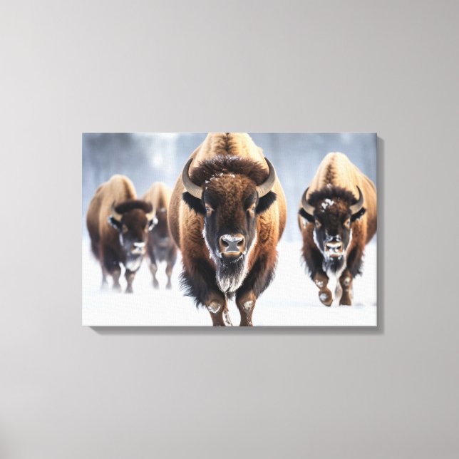 Yellowstone Bison Canvas Art (Framsida)