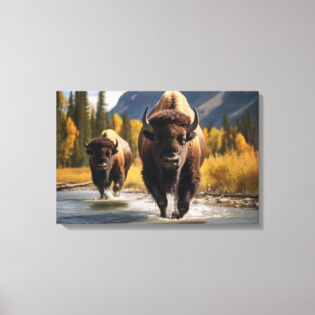 Yellowstone Bison Canvas Art (Framsida)