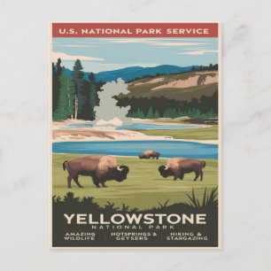 Yellowstone Bison från Sjö Vykort