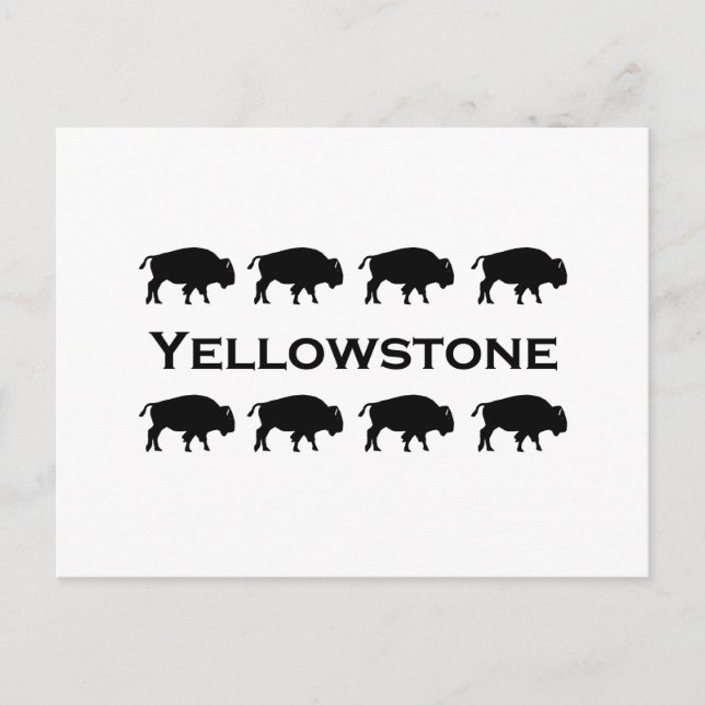 Yellowstone Bison Logotyp Vykort (Framsida)