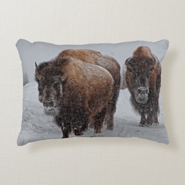 Yellowstone Bison Prydnadskudde (Framsidan)