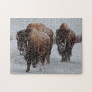 Yellowstone Bison Pussel