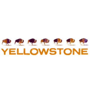 Yellowstone Bison Running T Shirt