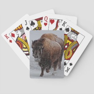 Yellowstone Bison Spelkort