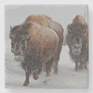 Yellowstone Bison Stenunderlägg