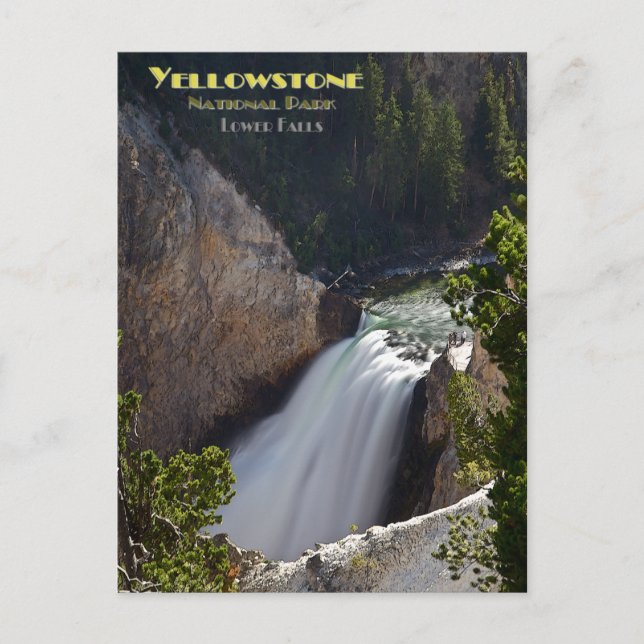 Yellowstone - Brink för lägre murar Vykort (Framsida)