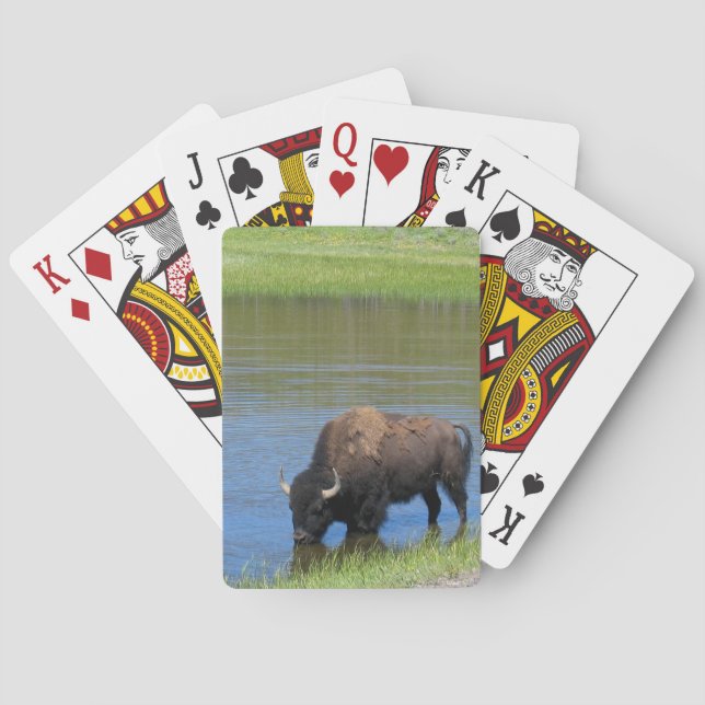 Yellowstone Buffalo Souvenir Spel Kort (Baksidan)