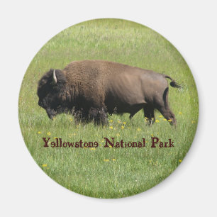 Yellowstone buffelmagnet magnet
