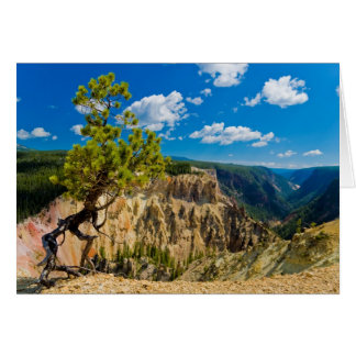Yellowstone Canyon Kant Hälsningskort