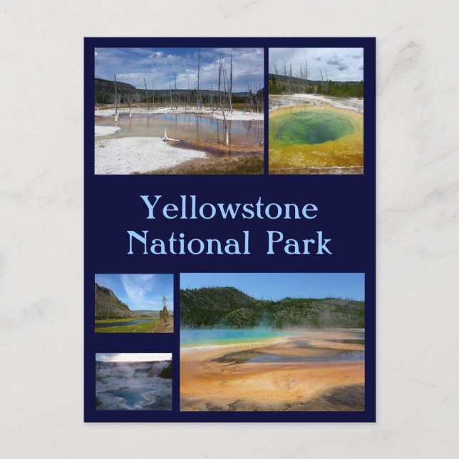 Yellowstone Collage 1 Vykort (Framsida)