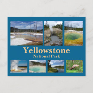 Yellowstone Collage 3 Vykort