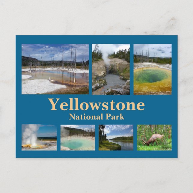 Yellowstone Collage 3 Vykort (Framsida)