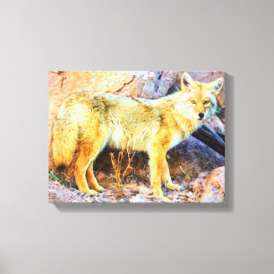Yellowstone Coyote Canvastryck