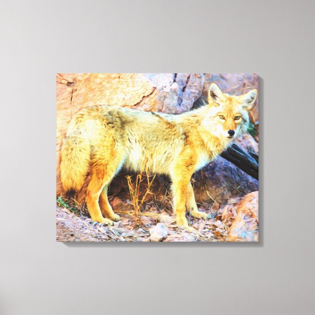 Yellowstone Coyote Canvastryck (Framsida)